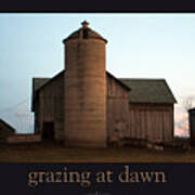 Grazing At Dawn Poster