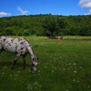 Grazing Poster