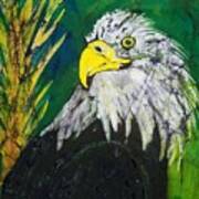 Great Bald Eagle Poster