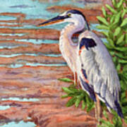 Great Blue Heron In A Marsh Poster