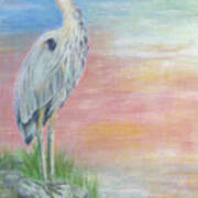 Great Blue Heron Poster