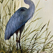 Great Blue Heron Splendor Poster