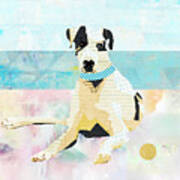 Great Dane At The Beach Poster
