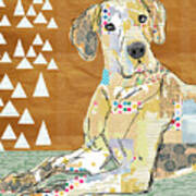 Great Dane Collage Poster