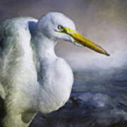 Great Egret Poster