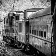 Great Smokey Mountain Railroad Looking Out At The Train In Black And White Poster