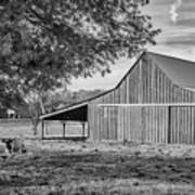 Green Barn Black And White Poster