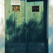 Green Doors Poster