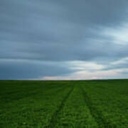 Green Field And Cloudy Sky Poster