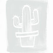 Grey And White Cactus- Art By Linda Woods Poster