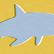 Grey And Yellow Shark Poster