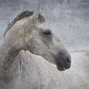 Grey At The Beach Textured Poster by Michelle Wrighton