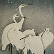 Group Of Egrets Poster