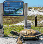 Gulf Shores Al Beach And Pier Turtle 1603a Poster