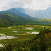 Hanalei Taro Fields Poster