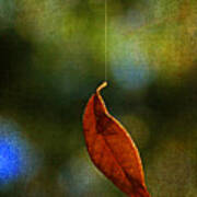 Hanging By A Thread Poster