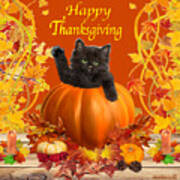 Happy Thanksgiving Kitty Poster