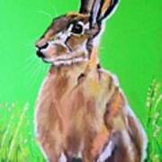 Hare In Wild Flower Meadow Poster