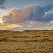 Harvest Time Poster