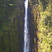 Hawaiian Waterfall Poster