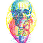 Heart Brain Skull Poster