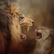 Heated Conversation Lion Art Poster