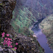 Hells Canyon #2 Poster