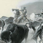 Herd Of Buffalo Poster