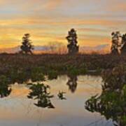 Heron Hideout Sunset Poster