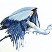 Heron In Flight Poster