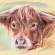 Highland Cow Pastel Poster