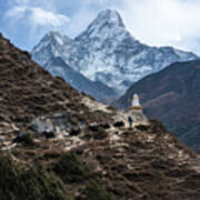 Himalayan Yak Train Poster