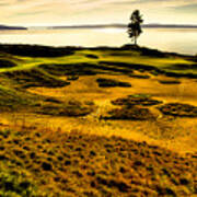 Hole #15 - The Lone Fir At Chambers Bay Poster
