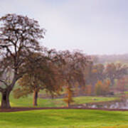 Hollow Oak On The Pond Poster