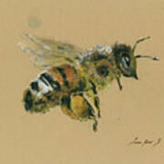 Honey Bee Poster