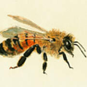 Honey Bee Painting Poster