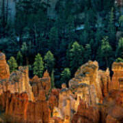 Hoodoos At Daybreak At Bryce Canyon National Park Poster