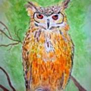 Horned Owl Poster