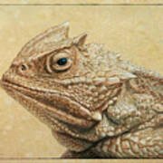 Horned Toad Poster