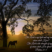 Horse And Oak Tree Bible Verse Psalms 27 The Lord Is My Light Poster