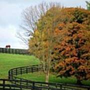 Horse Farm Country In The Fall Poster