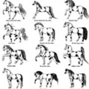 Horse Sketch Composite Poster