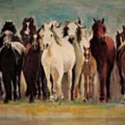 Horses And Horses Poster