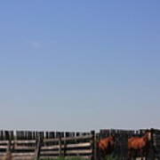 Horses - Corrals - And Alberta Prairie Sky Poster