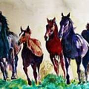 Horses In Wild Poster