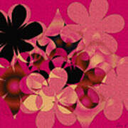 Hot Pink Blooms Poster