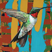 Hummingbird #10 Poster