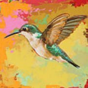 Hummingbird #19 Poster