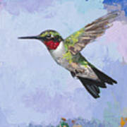 Hummingbird #3 Poster