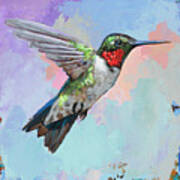 Hummingbird #4 Poster